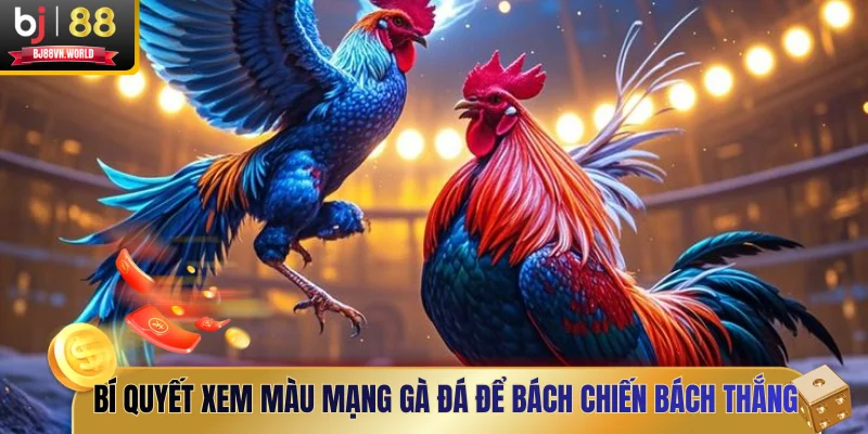 Bí quyết xem màu mạng gà đá để bách chiến bách thắng