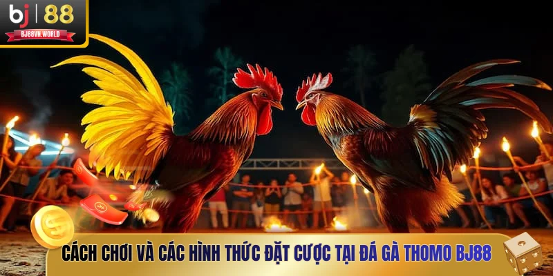 Cách chơi và các hình thức đặt cược tại đá gà Thomo BJ88