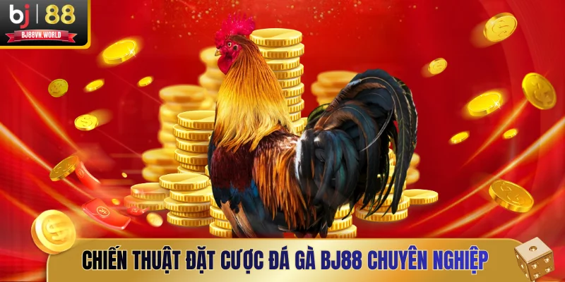 Chiến thuật đặt cược đá gà BJ88 chuyên nghiệp