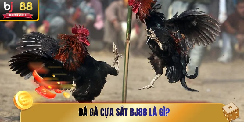Đá gà cựa sắt BJ88 là gì?
