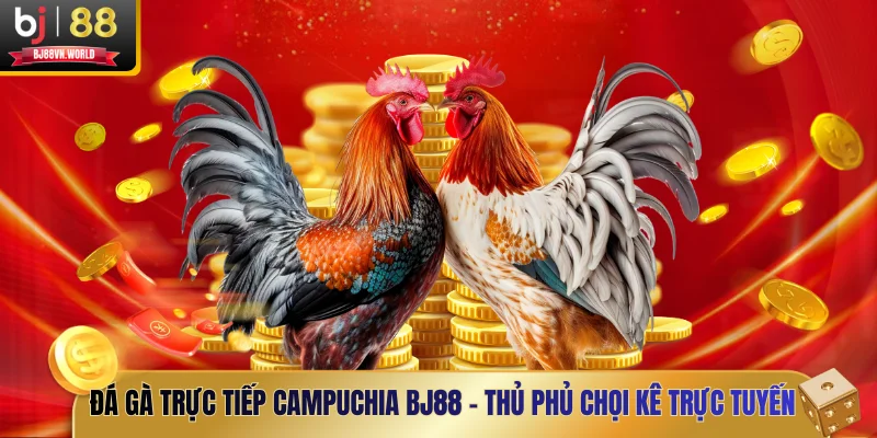 Đá gà trực tiếp Campuchia