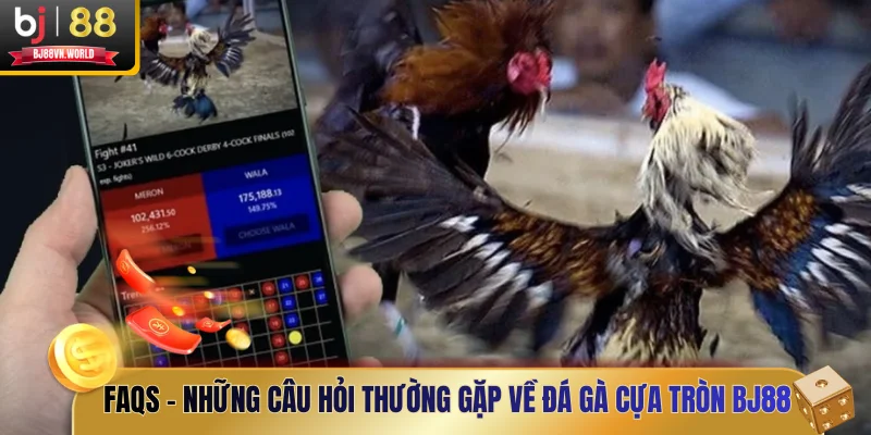 FAQs - Những câu hỏi thường gặp về đá gà cựa tròn BJ88
