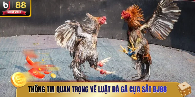 Thông tin quan trọng về luật đá gà cựa sắt BJ88