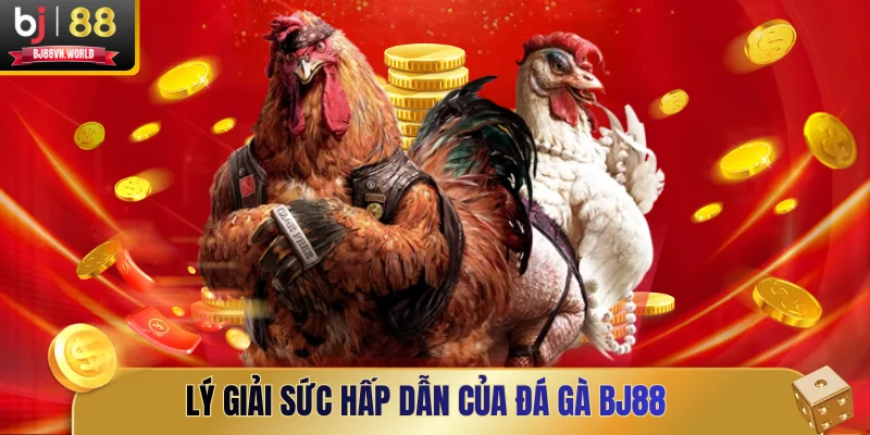 Lý giải sức hấp dẫn của đá gà BJ88