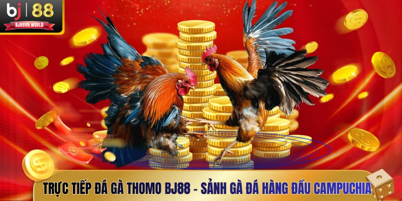 đá gà Thomo BJ88