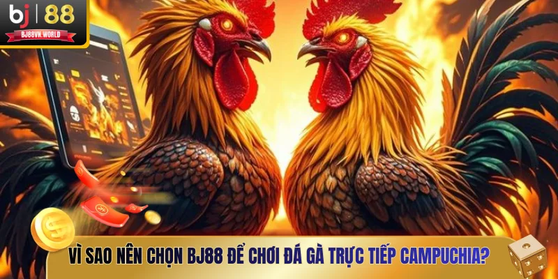Vì sao nên chọn BJ88 để chơi đá gà trực tiếp Campuchia?